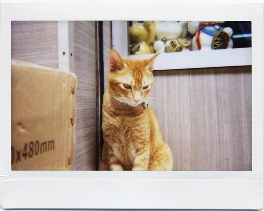 Lomo'Instant Wide Black