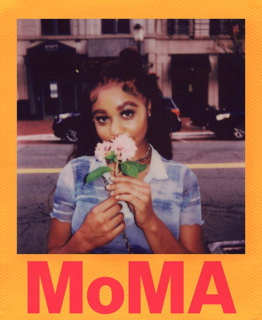 Polaroid  Color film for i-Type - Moma Edition