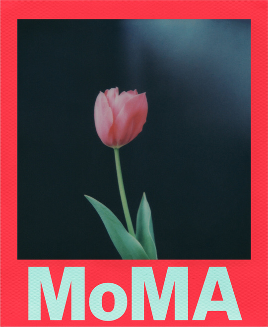 Polaroid  Color film for i-Type - Moma Edition
