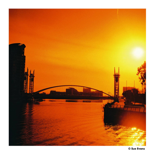Harman Photo  Harman Red ISO 125 120 film