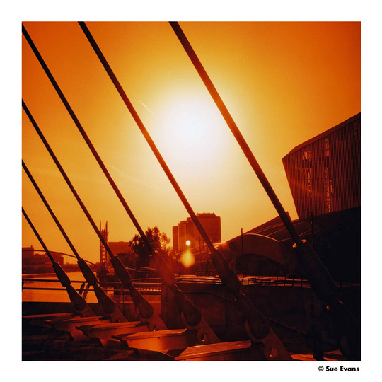 Harman Photo  Harman Red ISO 125 120 film