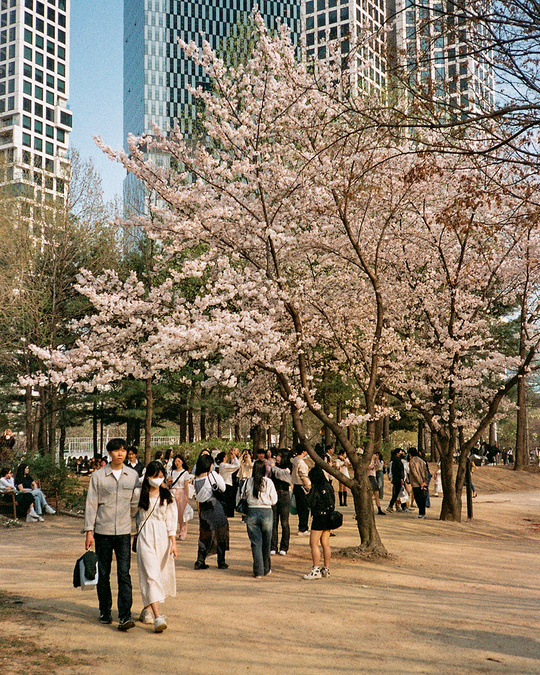 CANDIDO  200 Colour 135 Film 36 Exp