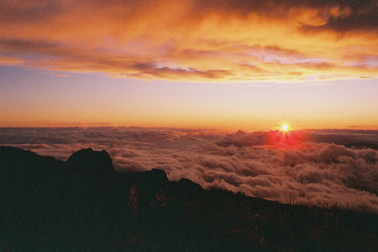 CANDIDO  400 Colour 135 Film 36 Exp