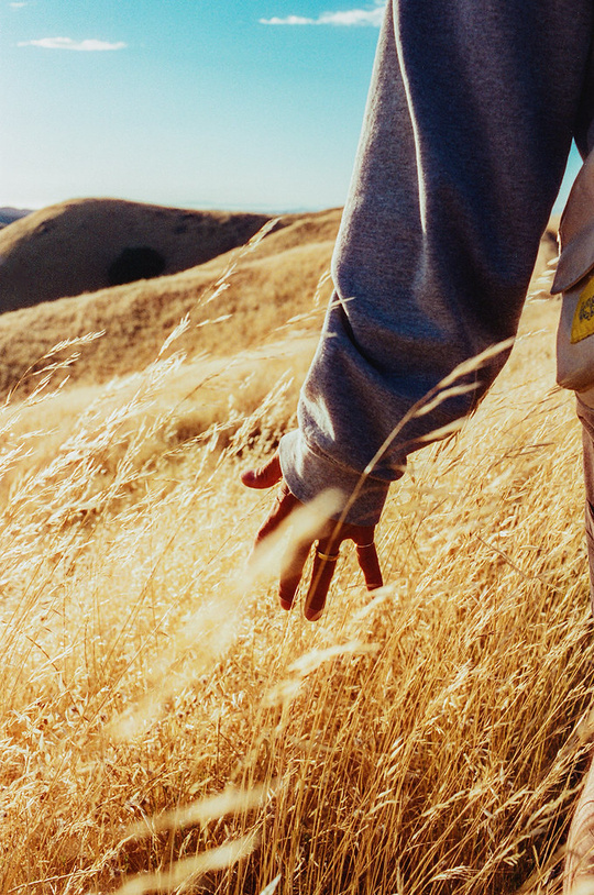 CANDIDO  400 Colour 135 Film 36 Exp